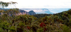 the view south - tony fathers