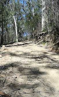 Ando's downhill