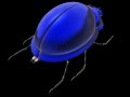 Beetle