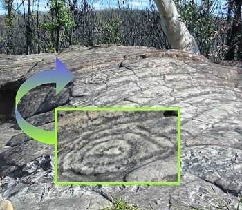 the circles