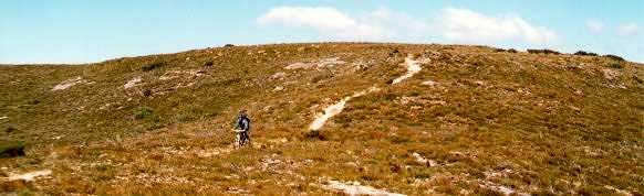 Ridgetop heath - Tony Fathers
photo