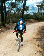 Another Narrow Neck hill (and view!) - Mark Hodges