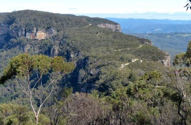 view from Narrowneck lookout - tony fathers
