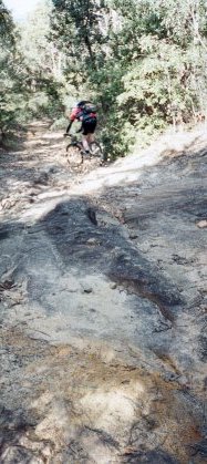hodgie tackles the rough