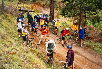 Team mtb-oz recover at the bottom of the first downhill and wait for the missing rider - M. Hodges photo